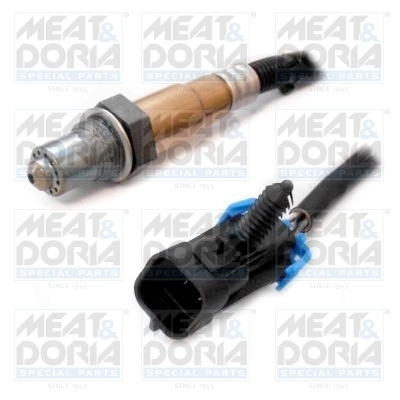 Oxygen Sensor
